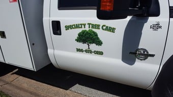 Ormond Beach Tree Removal and Tree Trimming